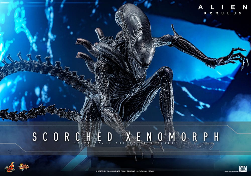 Alien: Romulus figurine Movie Masterpiece 1/6 Scorched Xenomorph – HOT TOYS
